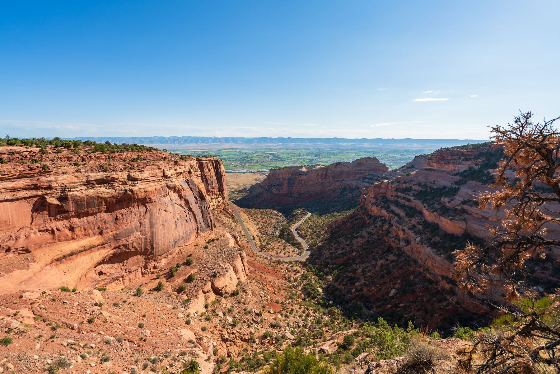 Colorado National Monument above the Grand Junction valley