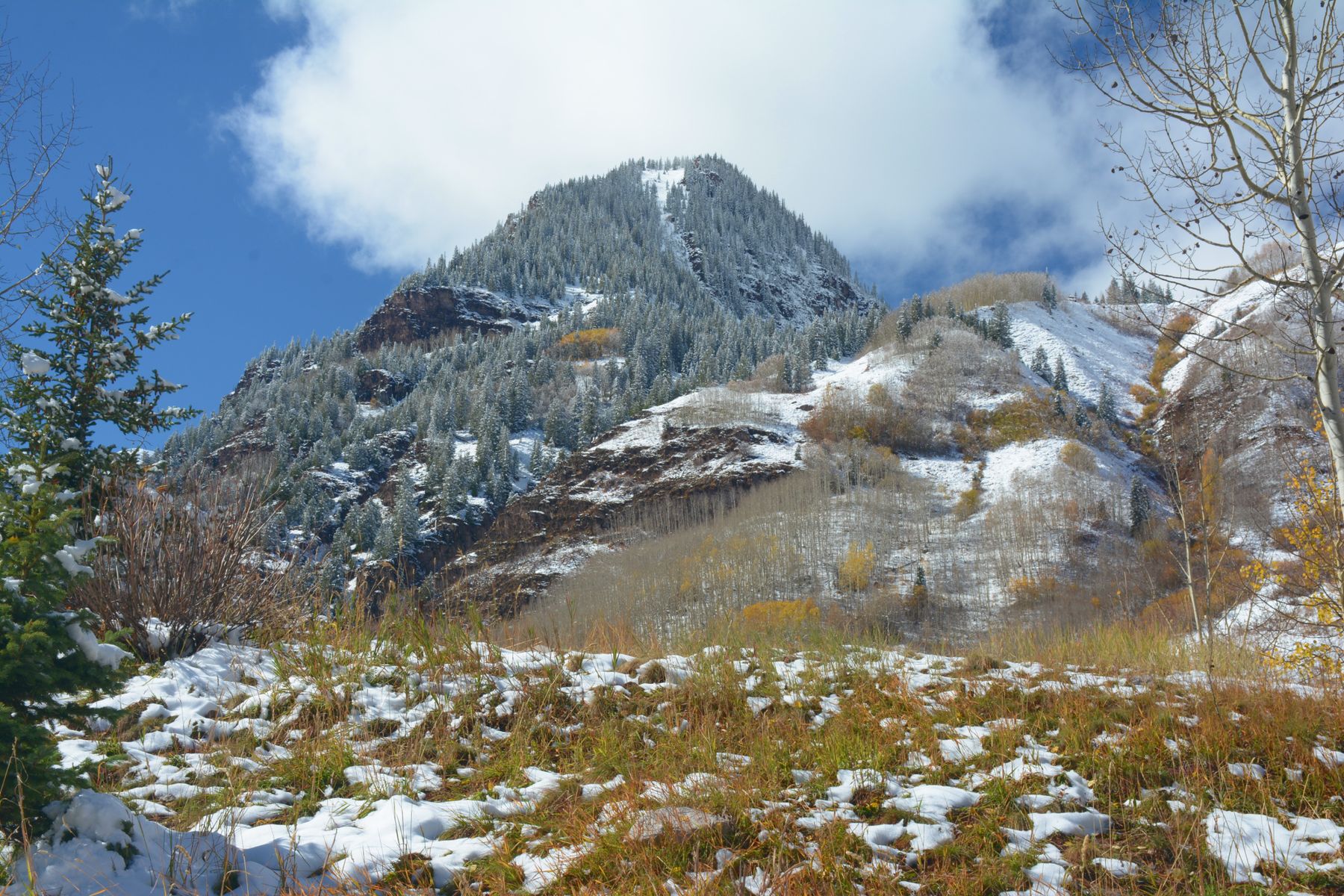 Snow-dusted Aspen peaks rising above autumn forest