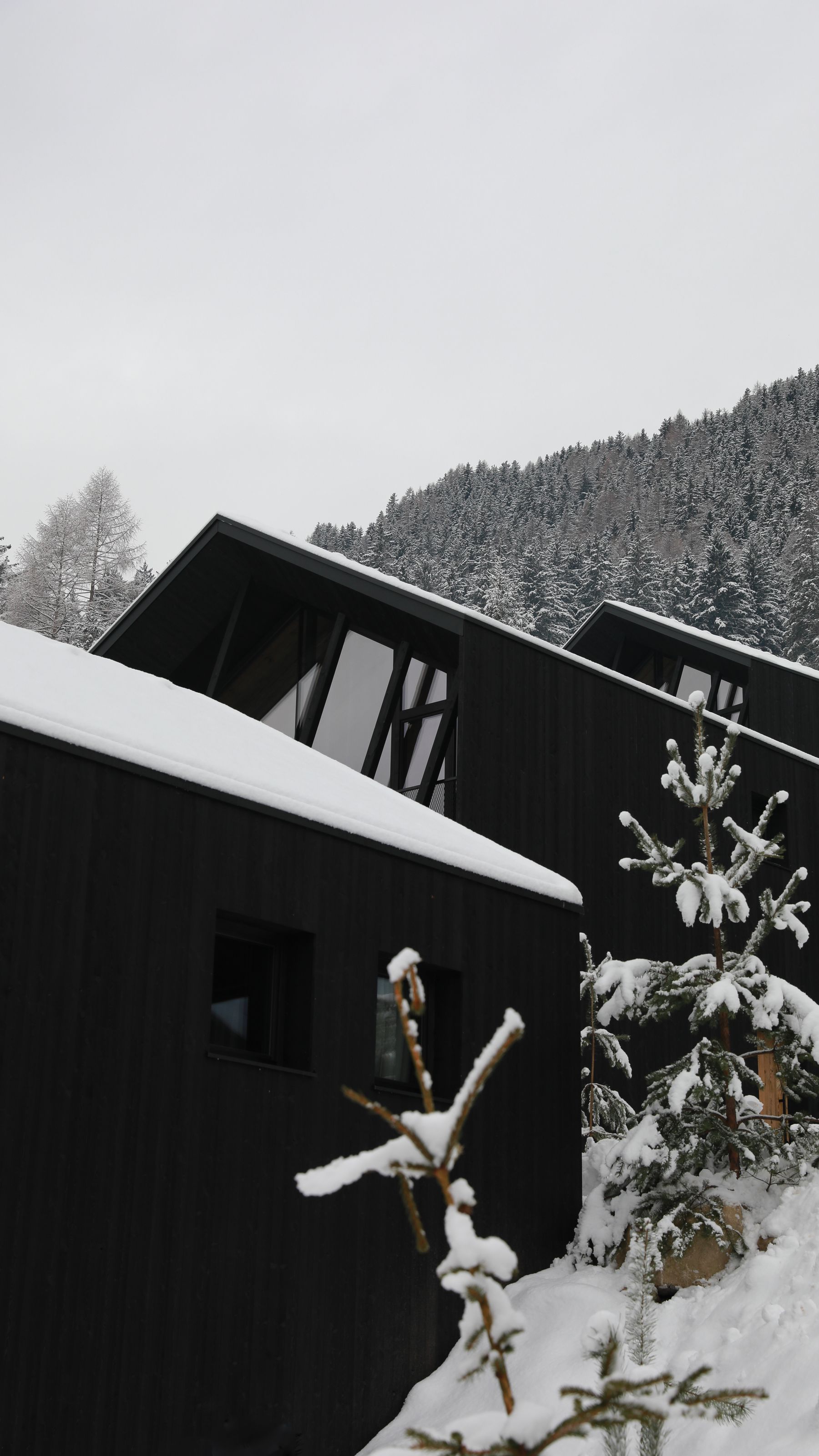 Mountain homes surrounded by snow and evergreen forest
