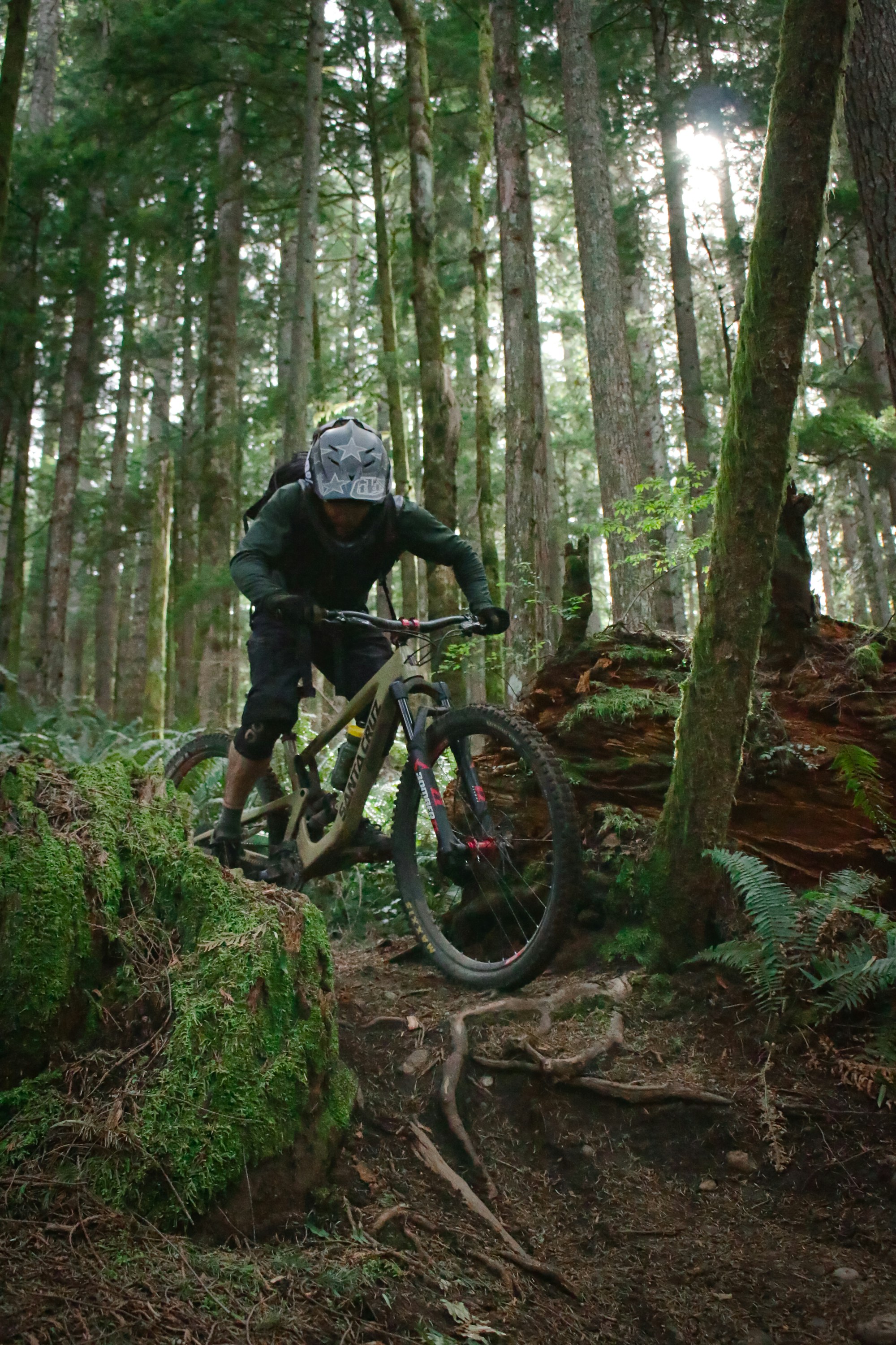 Mountain biker riding through a sunlit forest